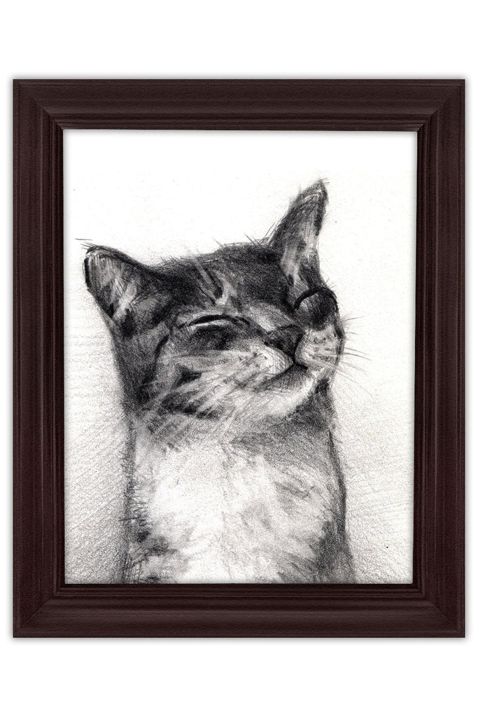 Custom Pencil Portrait of Pets - Picturestopaint.com