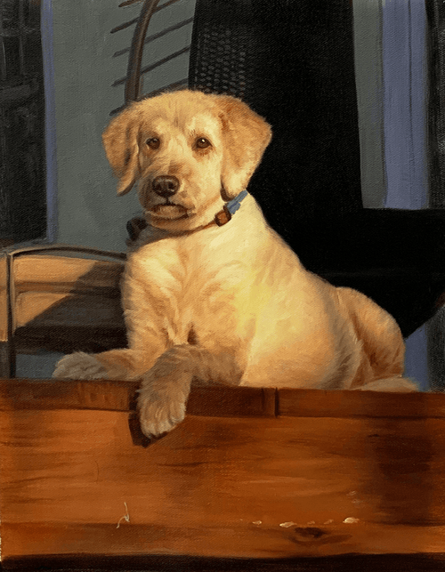 Dog portrait painting from photo by Pictures To Paint